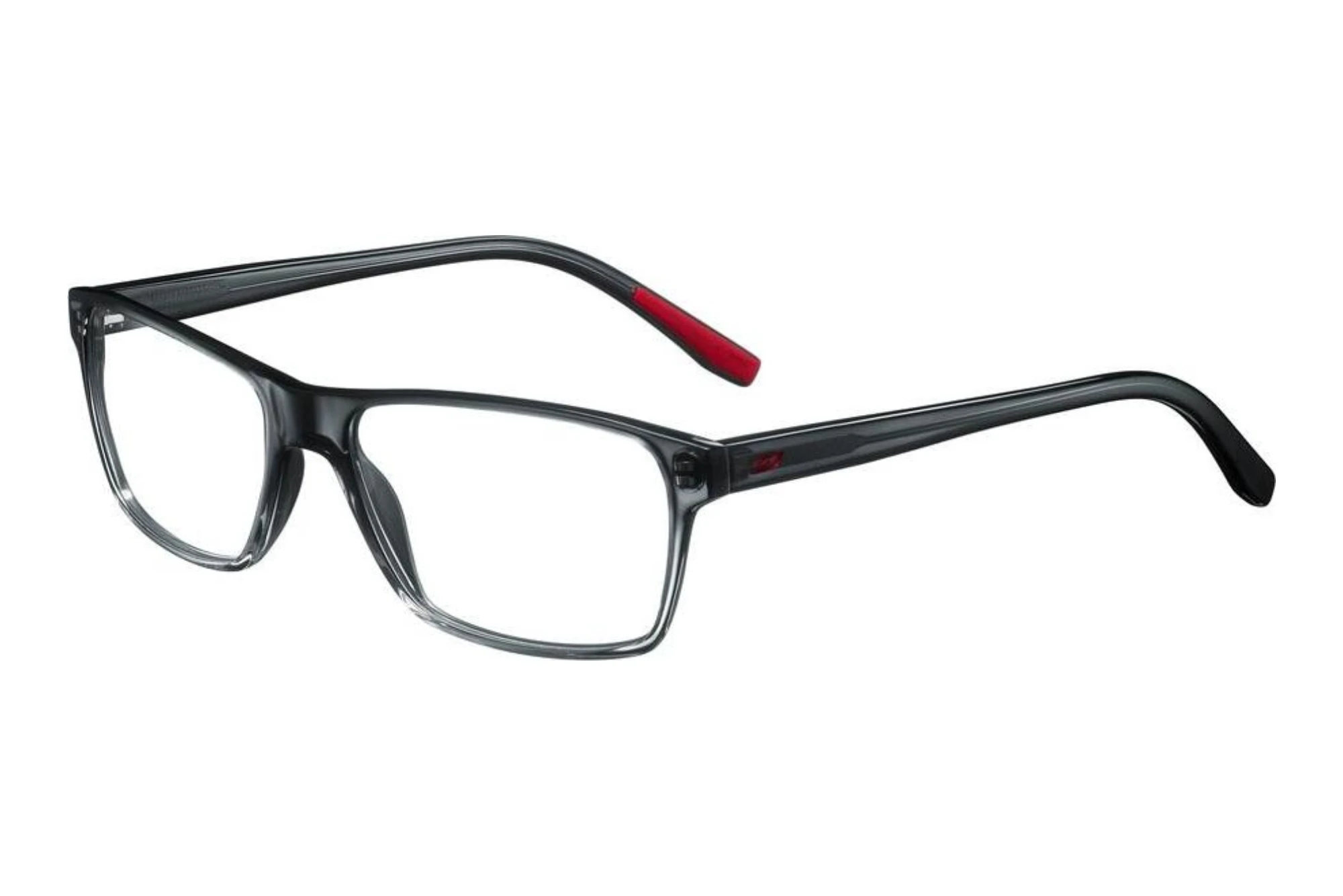 Julbo SOHO 20 Hellgrau Julbo SOHO 20 Hellgrau