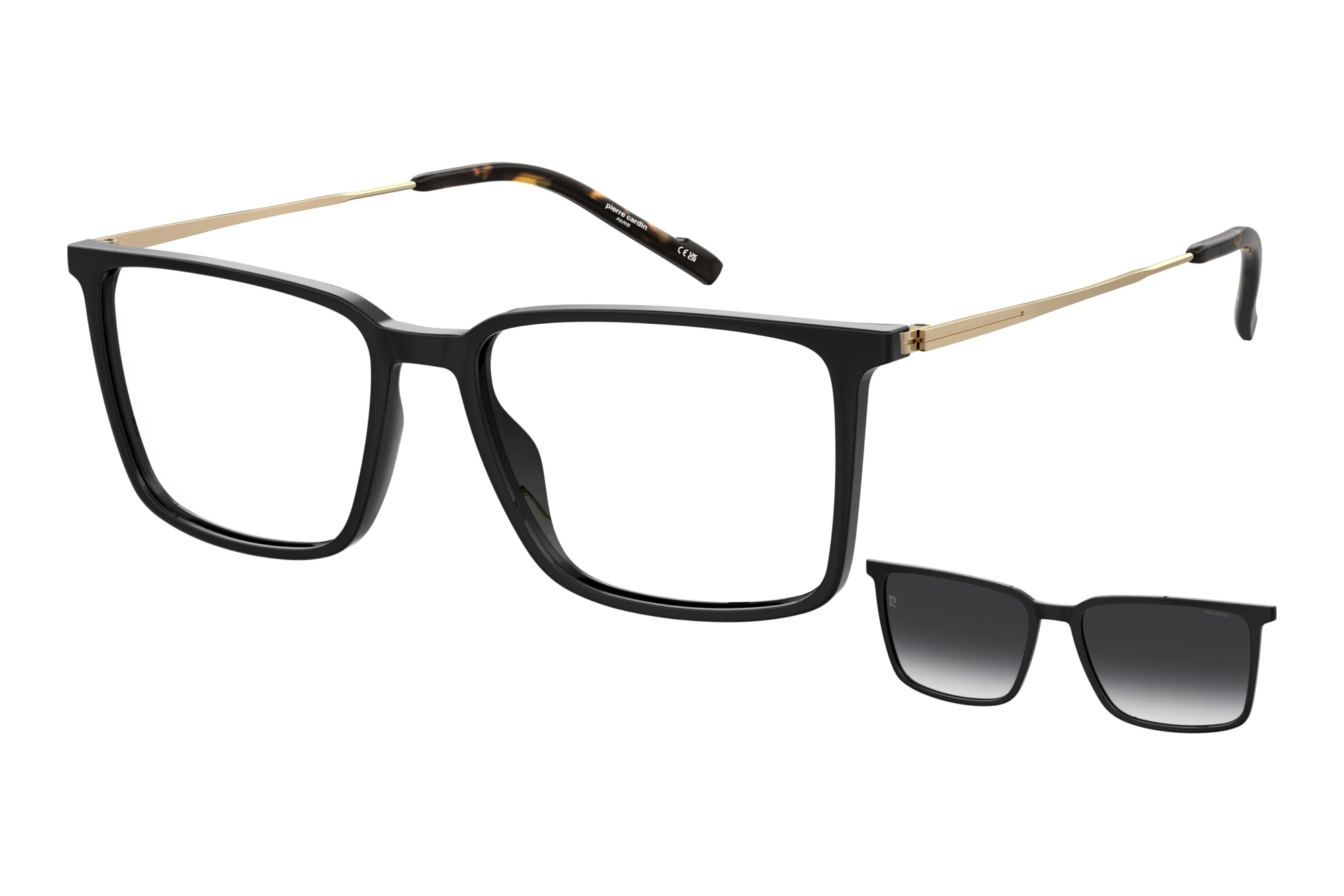 Pierre Cardin P.C. 6290/C 2M2 BLACK GOLD Pierre Cardin P.C. 6290/C 2M2 BLACK GOLD