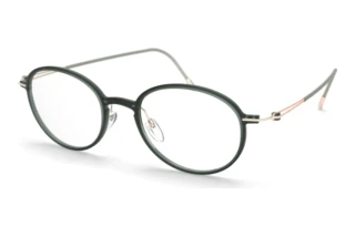 Silhouette 2924 5540