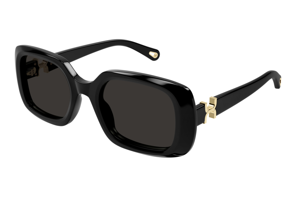Chloé CH0333S 001 BLACK Chloé CH0333S 001 BLACK