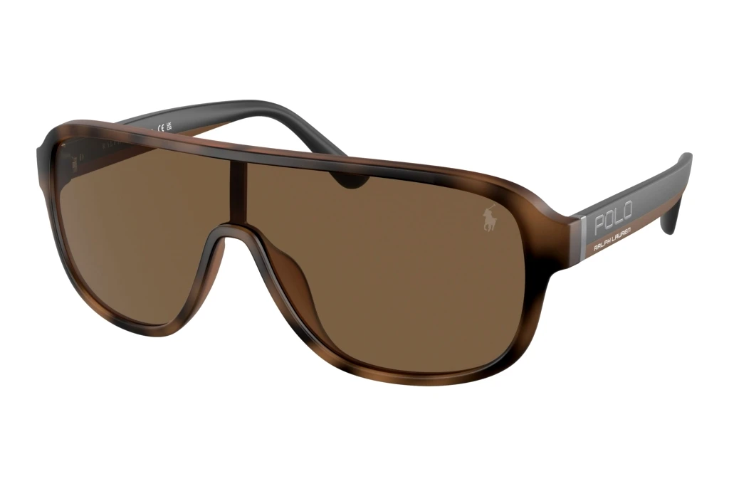 Polo PH4196U 607073 BrownMatte Havana Brown Polo PH4196U 607073 BrownMatte Havana Brown