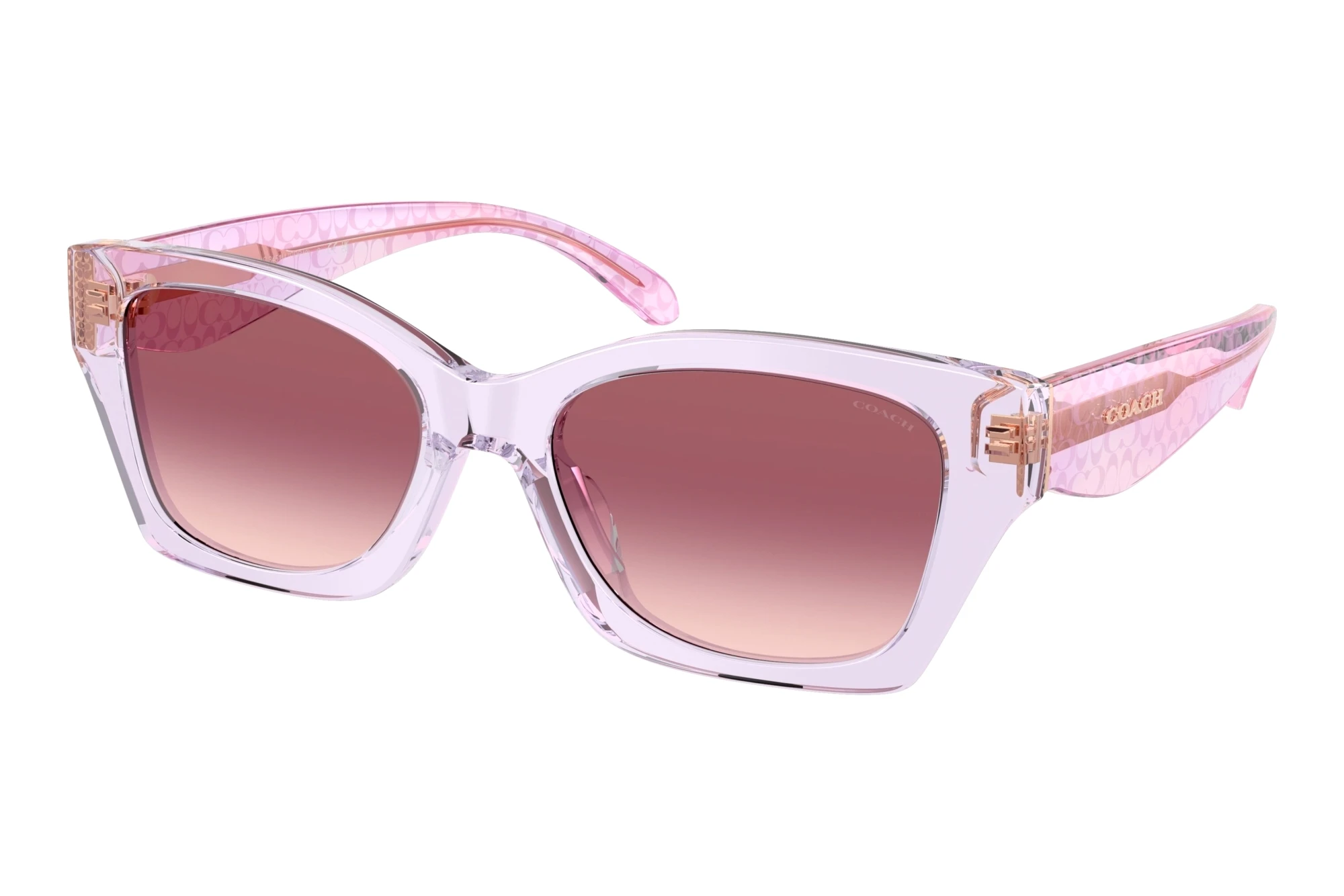 Coach HC8451U 59367W Purple Pink GradientTransparent Iris Coach HC8451U 59367W Purple Pink GradientTransparent Iris