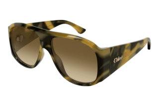 Chloé CH0347S 005 HAVANA