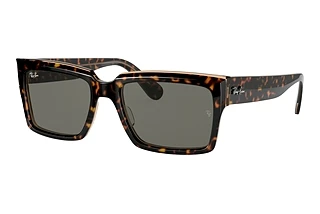 Ray-Ban RB2191 1292B1 Dark GreyHavana On Transparent Brown