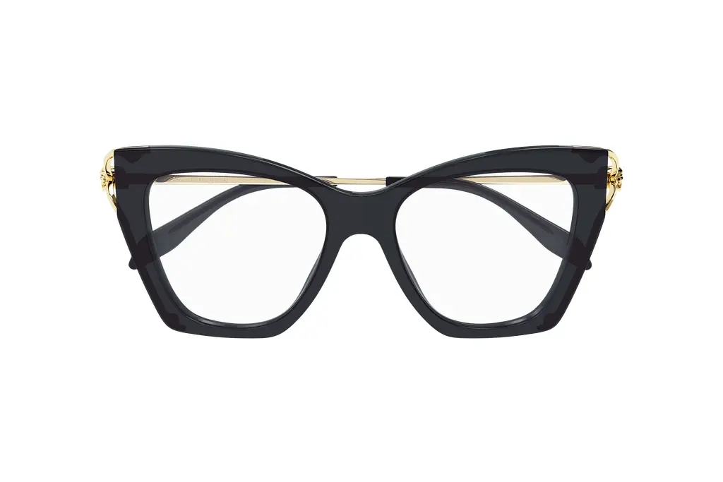 Vorderansicht Alexander McQueen AM0376O (002)