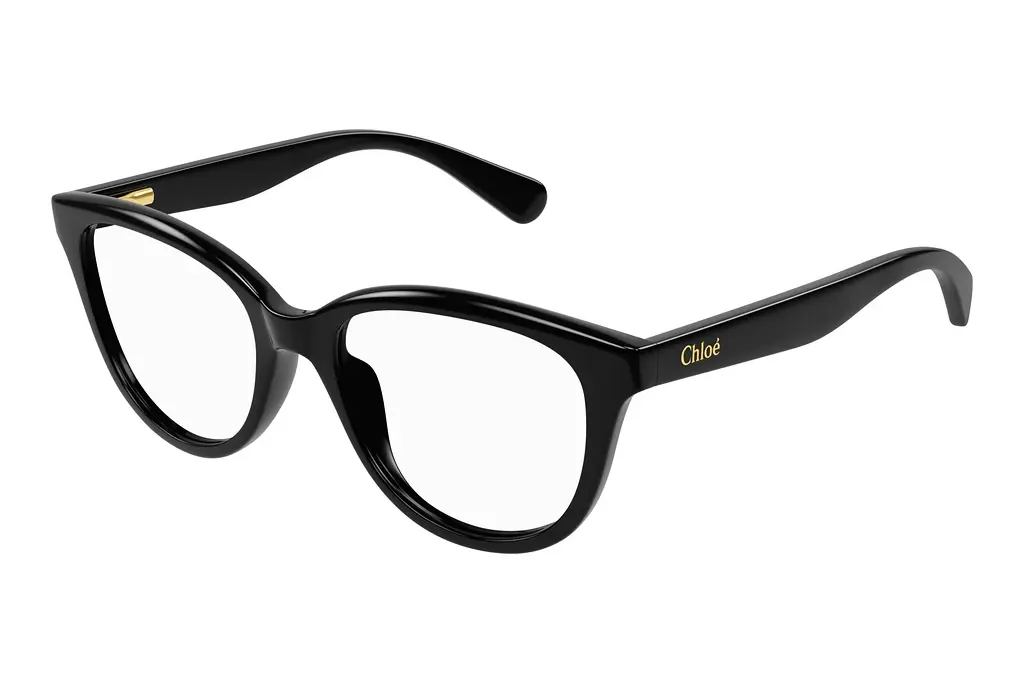 Chloé   CC0021O 001 BLACK