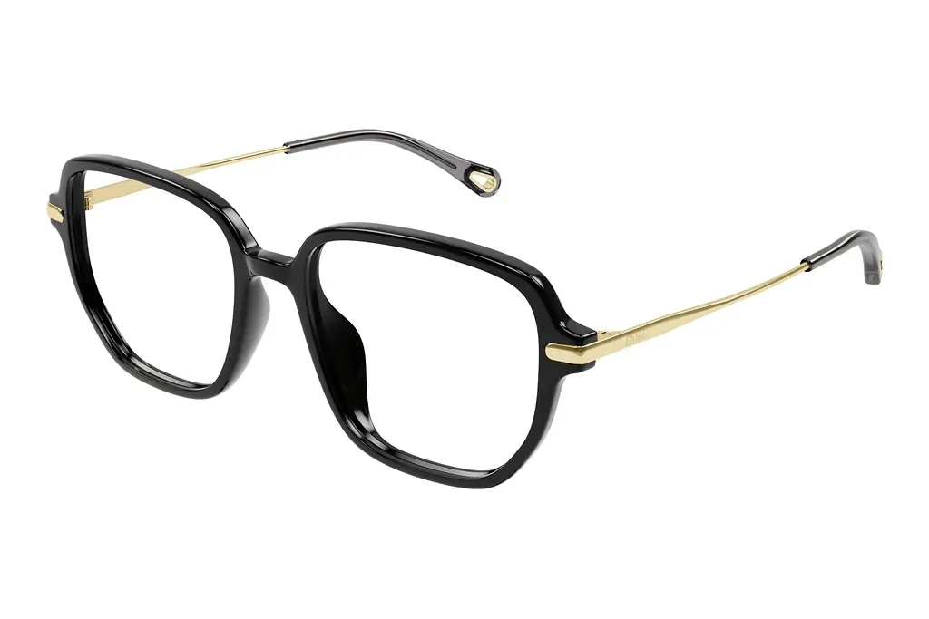 Chloé   CH0218OA 001 BLACK