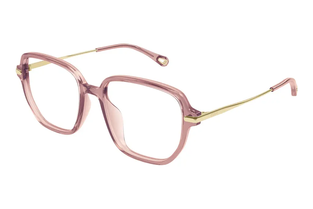 Chloé   CH0218OA 003 BROWN