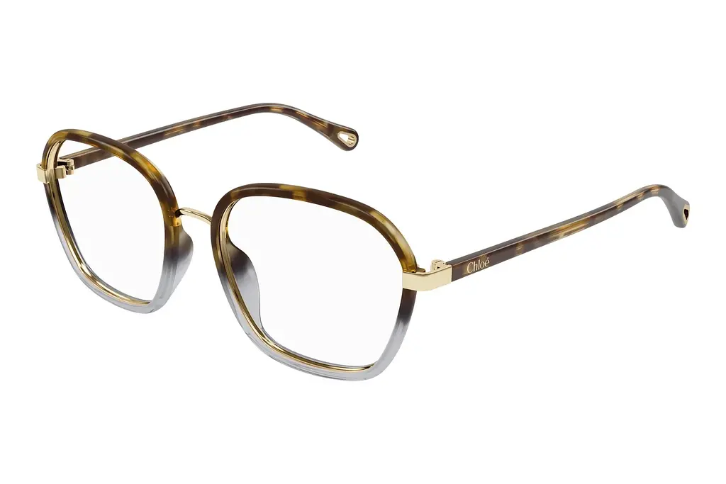 Chloé   CH0309O 003 HAVANA