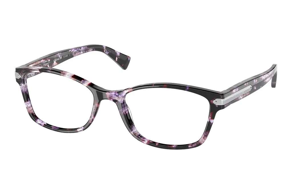 Coach   HC6065 5548 Purple Tortoise