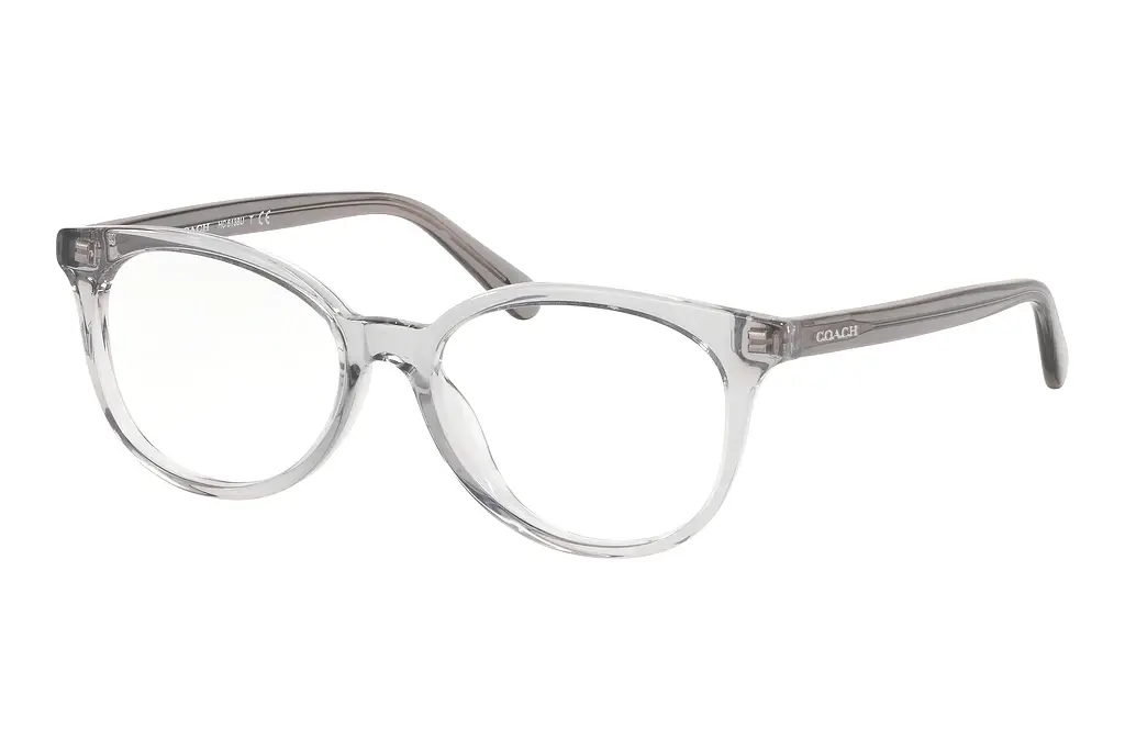 Coach   HC6138U 5176 Transparent Grey