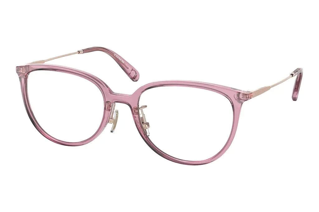 Coach   HC6175D 5556 Transparent Pink