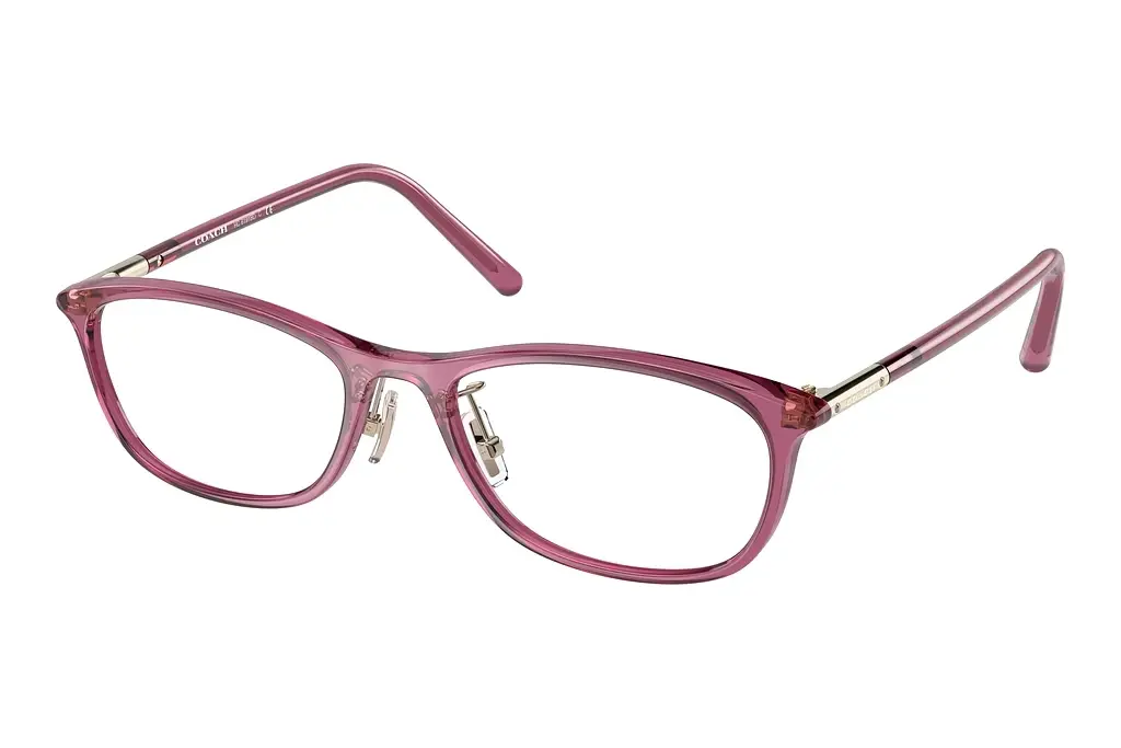 Coach   HC6191BD 5677 Transparent Dark  Mauve