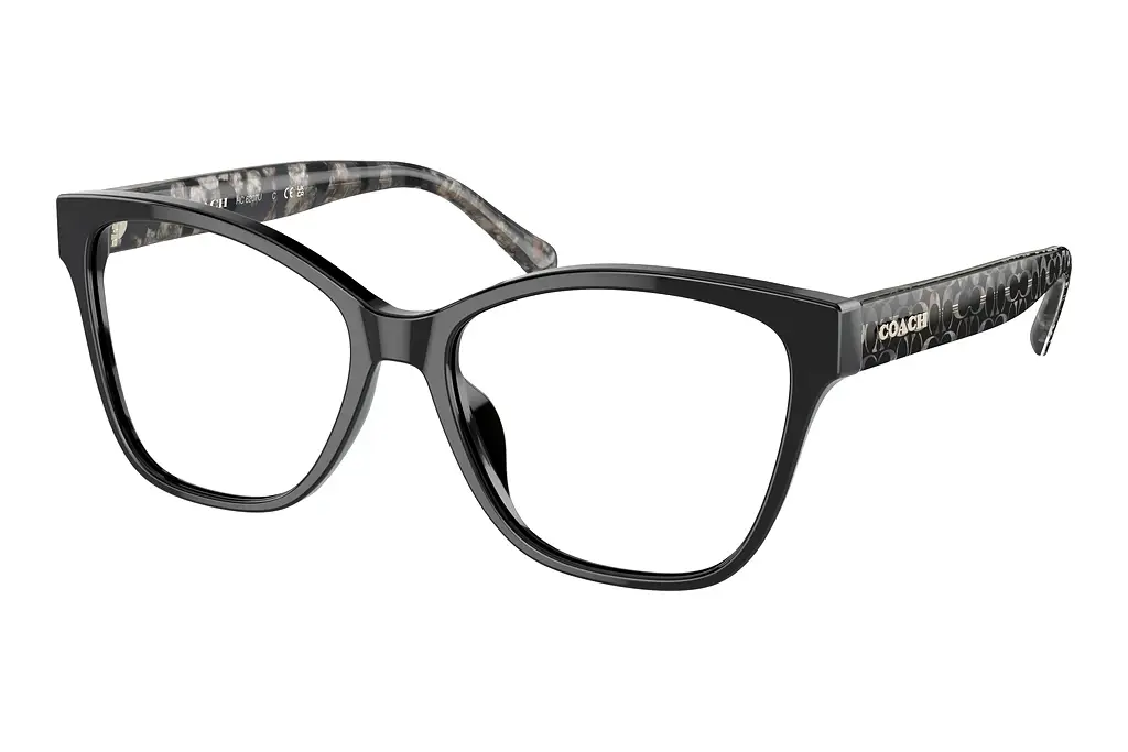 Coach   HC6207U 5002 Black