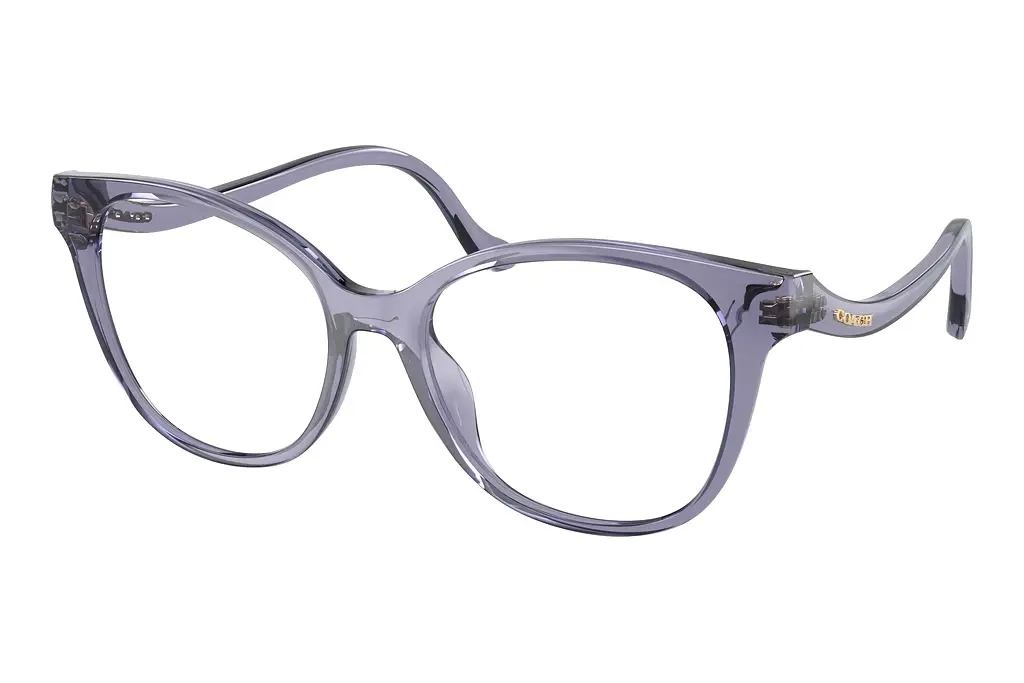 Coach   HC6218U 5568 Transparent Violet