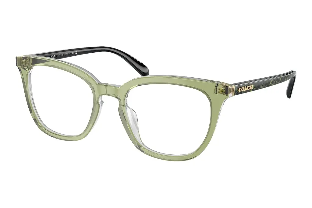 Coach   HC6222U 5786 Transparent Green Hopper