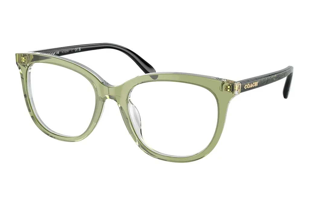 Coach   HC6223U 5786 Transparent Green Hopper