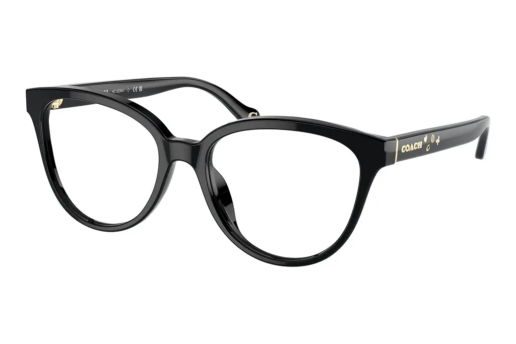 Coach   HC6234U 5002 Black