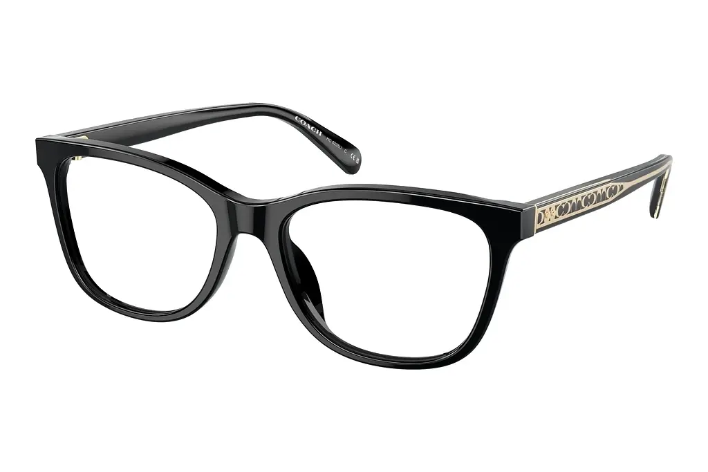 Coach   HC6235U 5002 Black