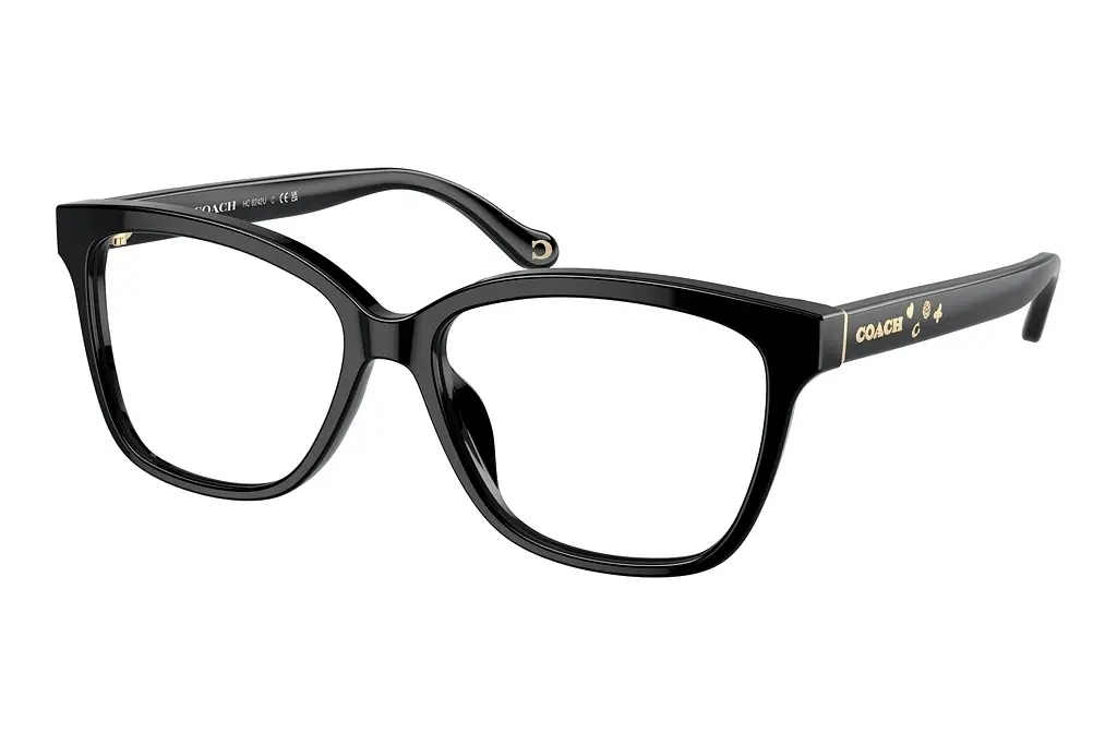 Coach   HC6242U 5002 Black