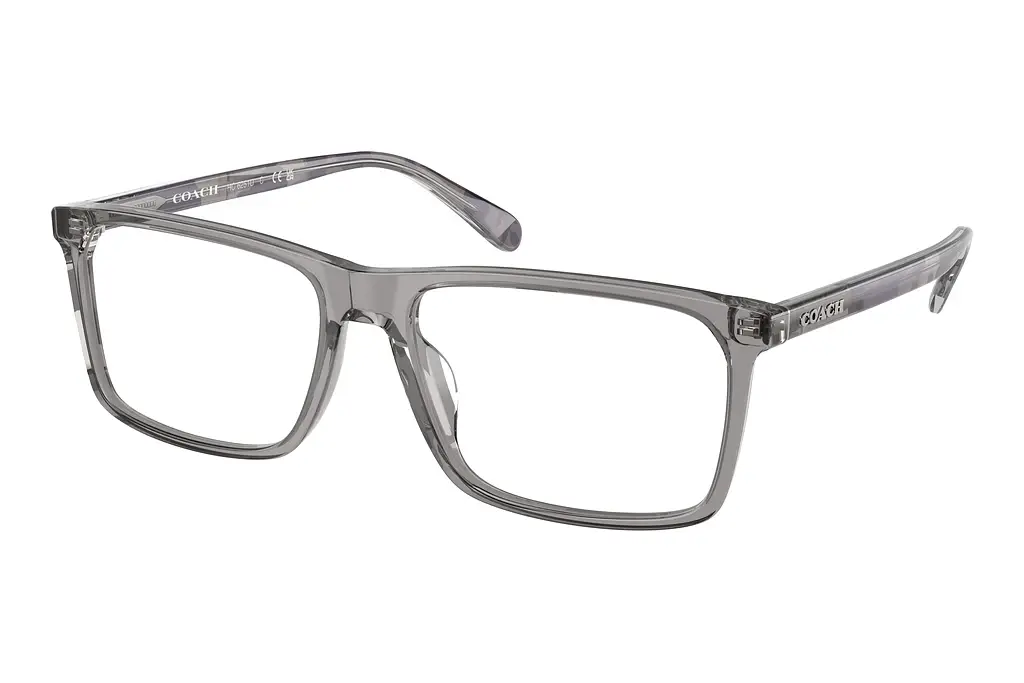 Coach   HC6251U 5849 Transparent Grey