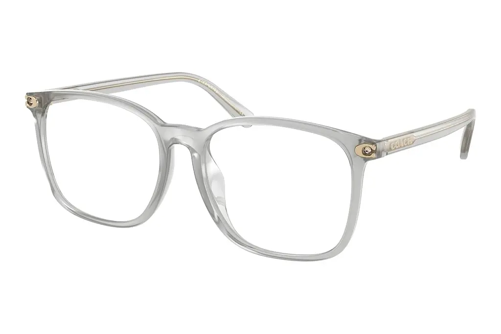 Coach   HC6254BD 5614 Transparent Dove