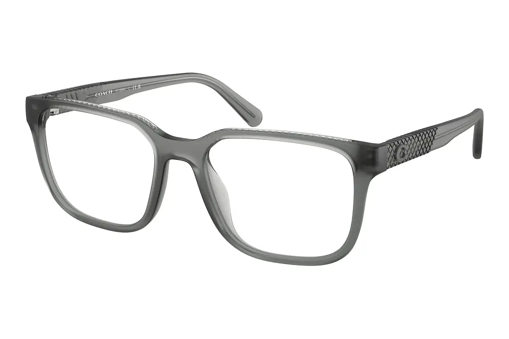 Coach   HC6264U 5880 Matte Transparent Dark Stone