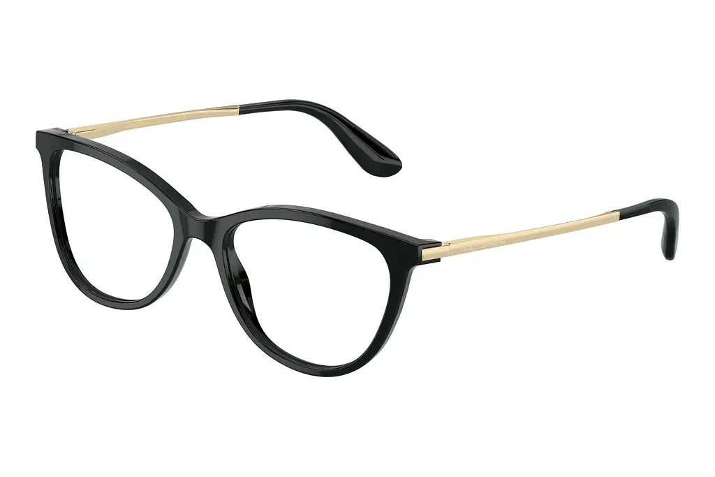 Dolce & Gabbana   DG3258 501 Black