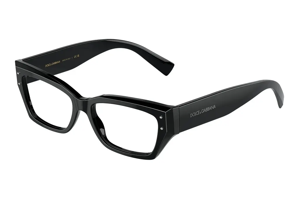 Dolce & Gabbana   DG3387 501 Black