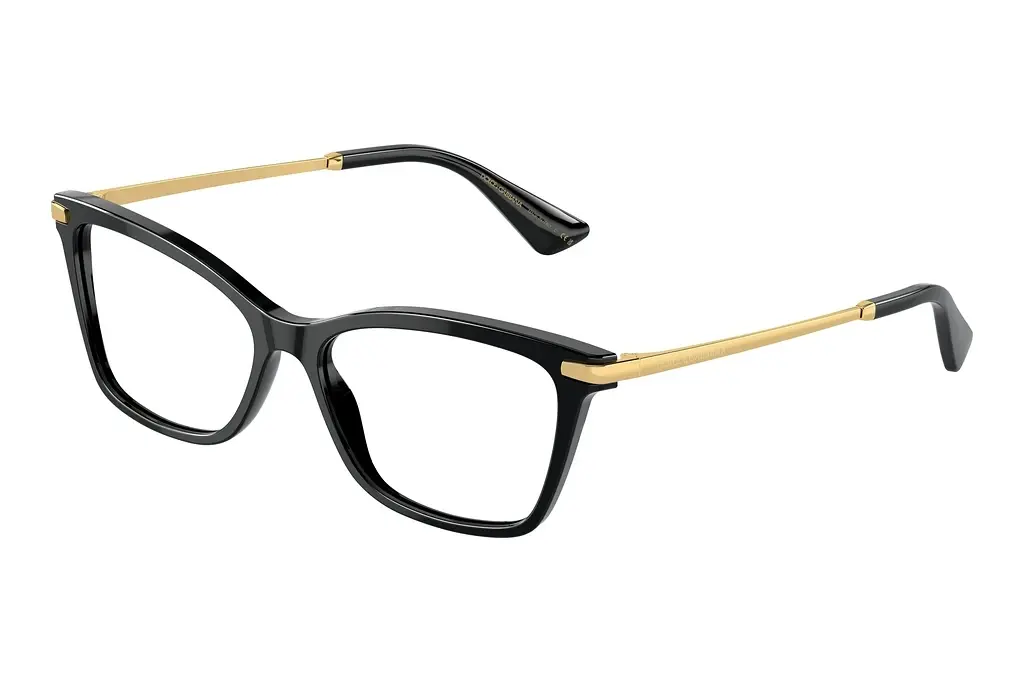 Dolce & Gabbana   DG3393 501 Black