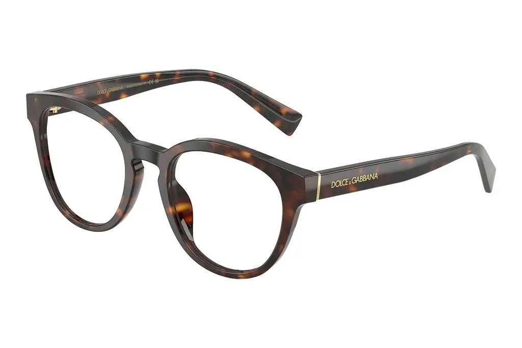 Dolce & Gabbana   DG3421 502 Havana