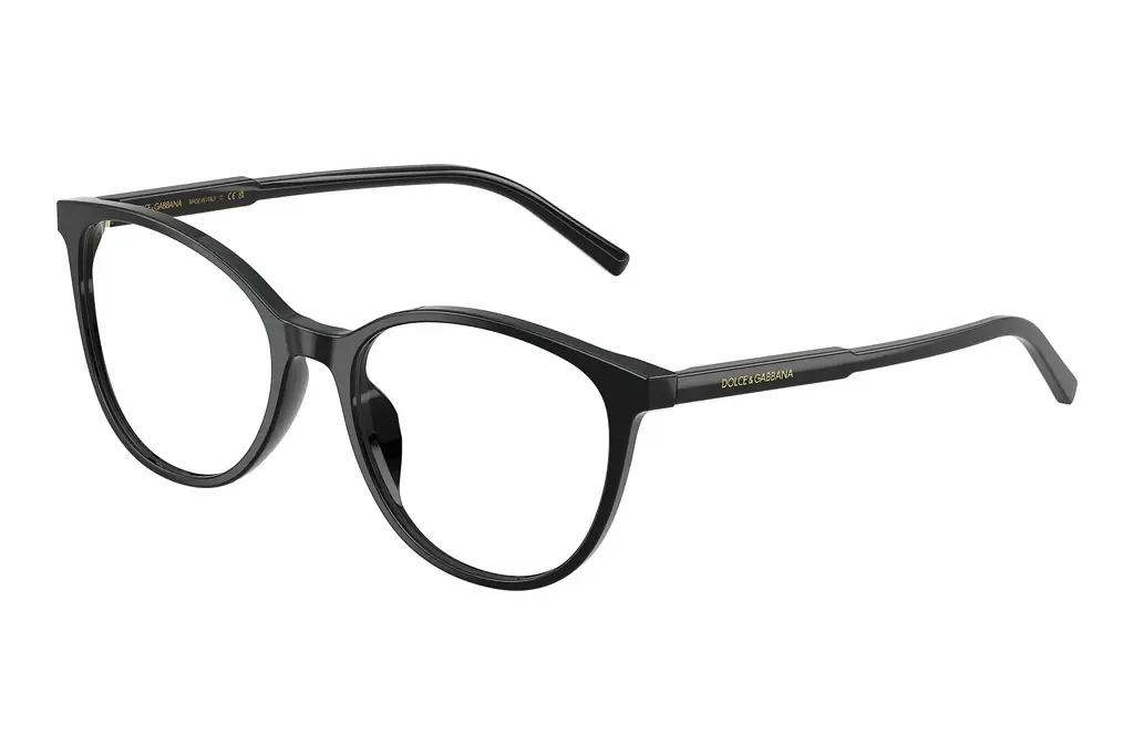 Dolce & Gabbana   DG3425 501 Black