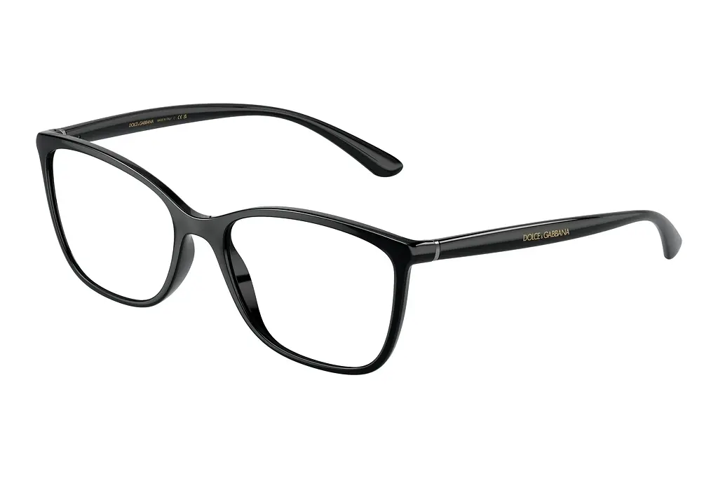 Dolce & Gabbana   DG5026 501 Black