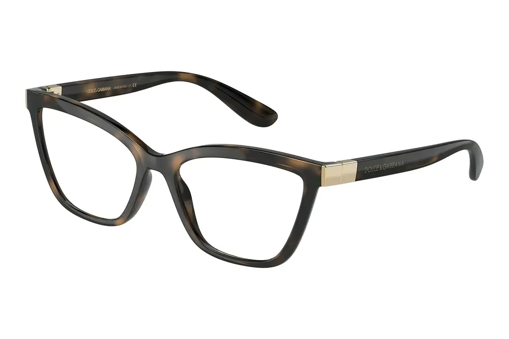 Dolce & Gabbana   DG5076 502 Havana