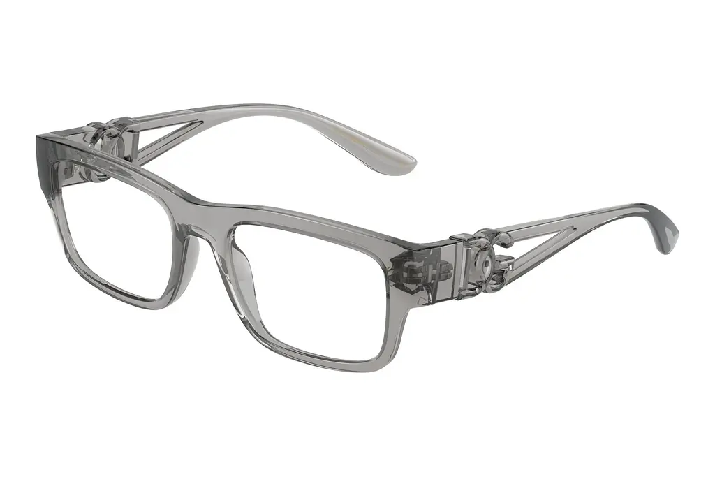 Dolce & Gabbana   DG5110 3160 Transparent Grey