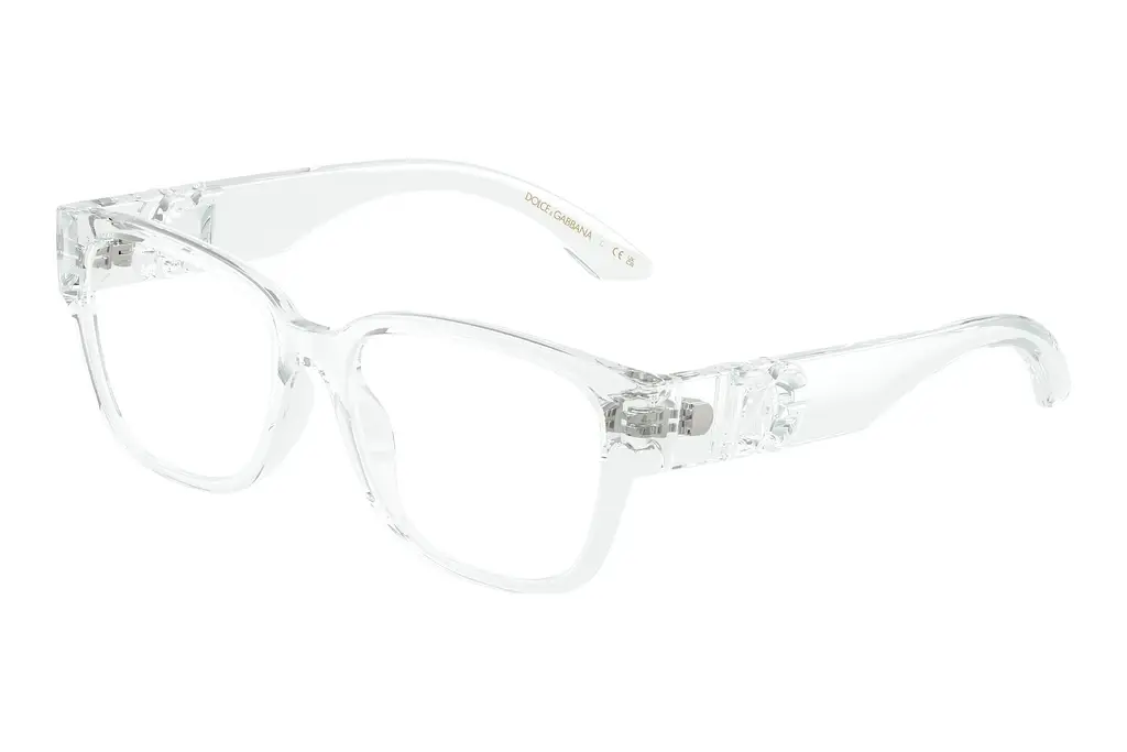 Dolce & Gabbana   DX5006 3133 Crystal