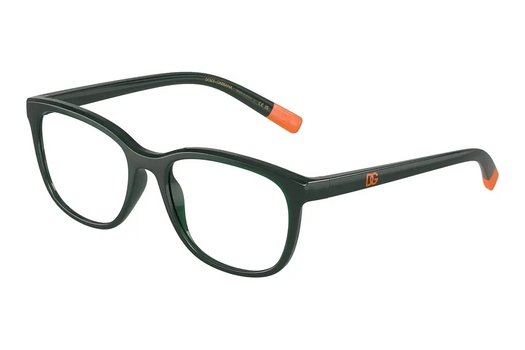 Dolce & Gabbana   DX5094 3068 Opal Green