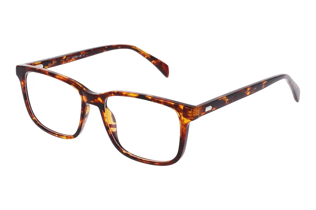 Fraymz   AC398 A Turtle