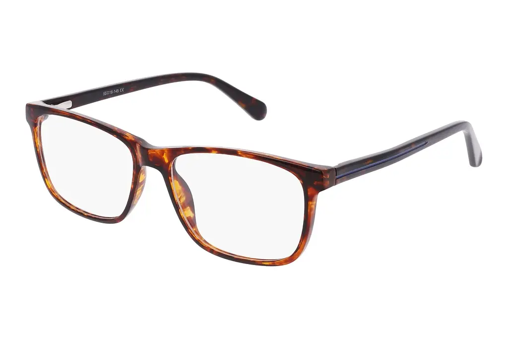 Fraymz   AC399 C Turtle blue