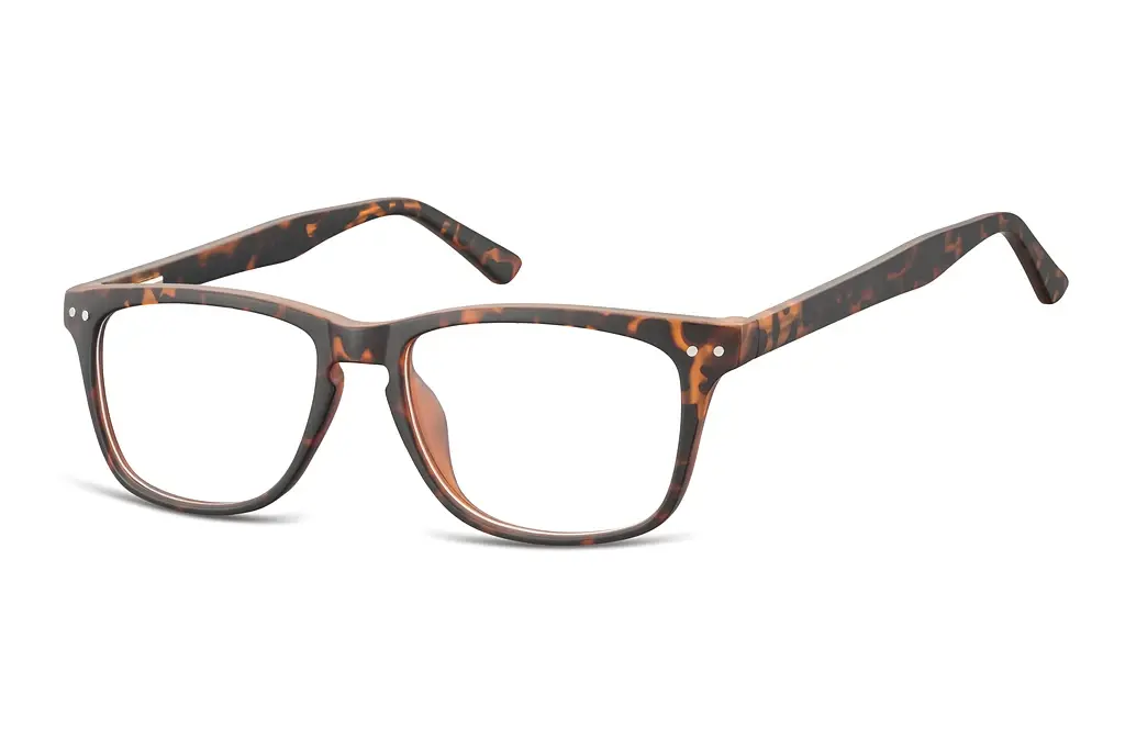 Fraymz   CP136 A Turtle