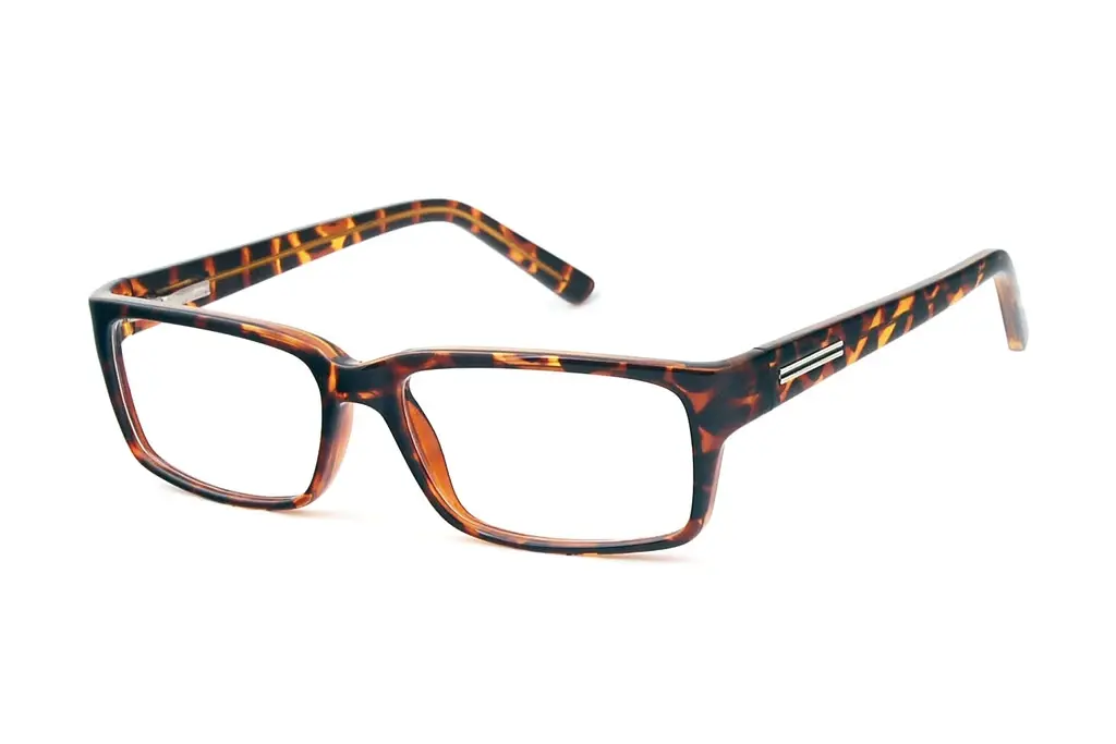 Fraymz   CP180 E Turtle
