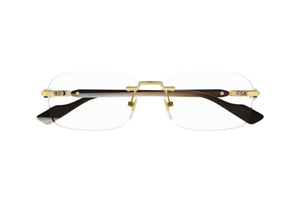 Vorderansicht Gucci GG1221O (002)