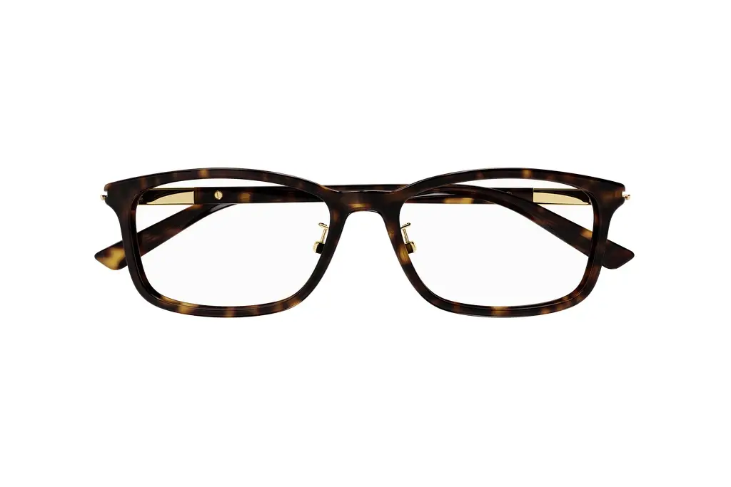Vorderansicht Gucci GG1506OJ (002)