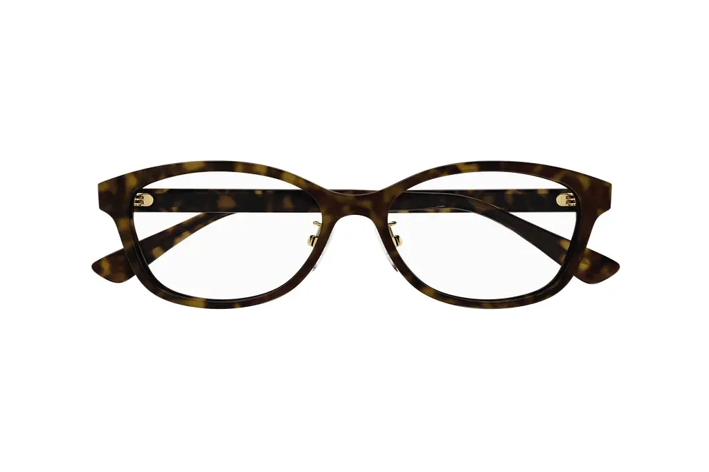 Vorderansicht Gucci GG1612OJ (002)