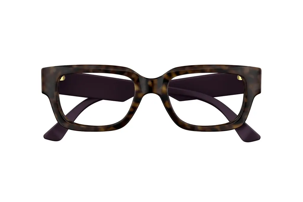 Vorderansicht Gucci GG1666O (008)