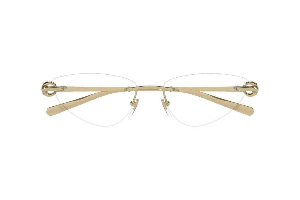 Vorderansicht Gucci GG1702O (002)