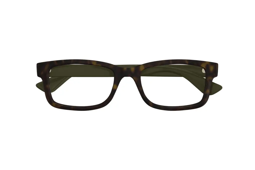 Vorderansicht Gucci GG1717O (004)