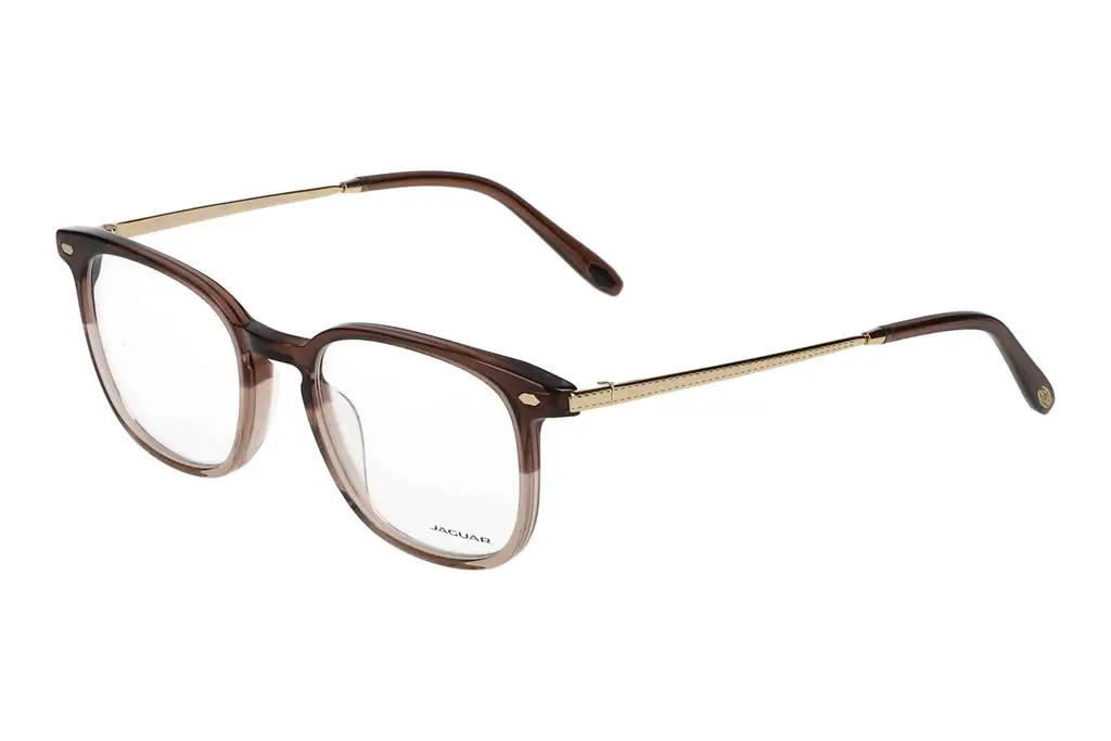 Jaguar   32709 5283 Braun