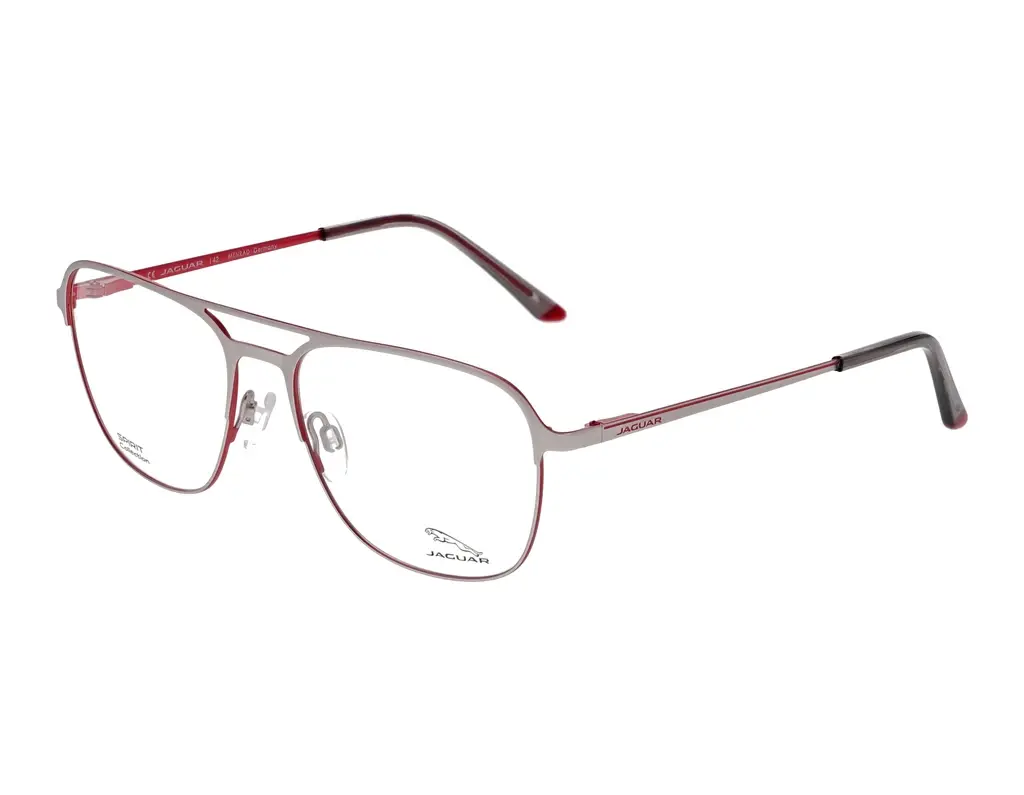 Vorderansicht Jaguar 33613 (1000)