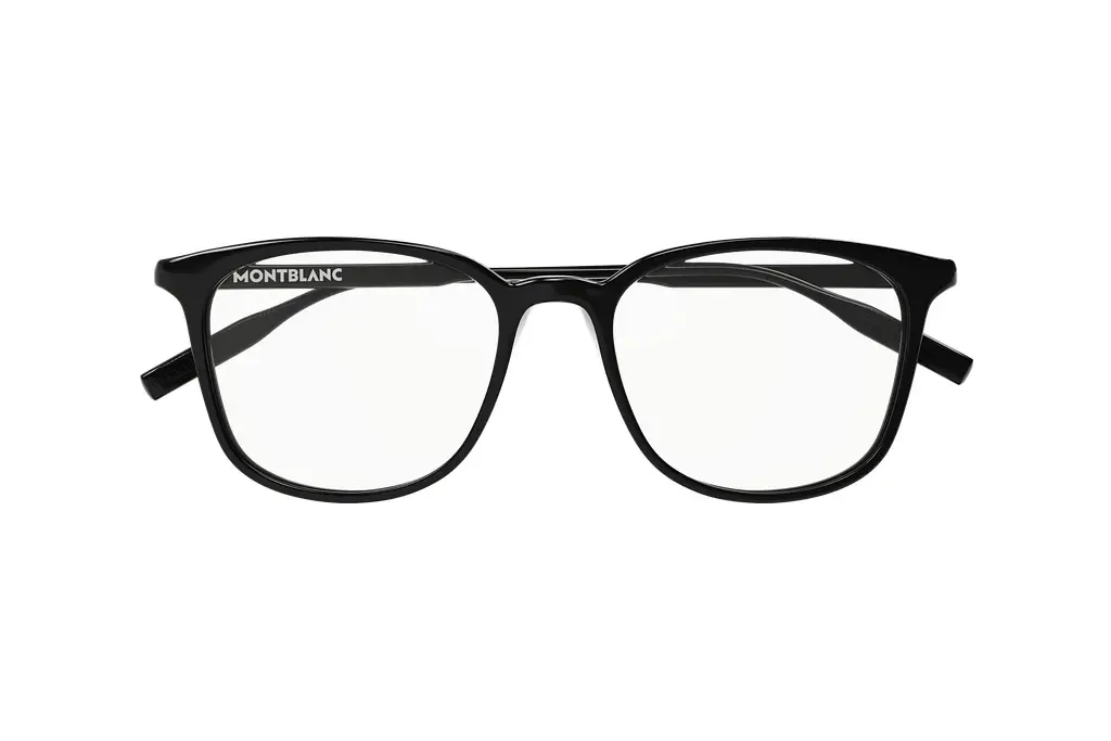 Vorderansicht Mont Blanc MB0089OK (005)
